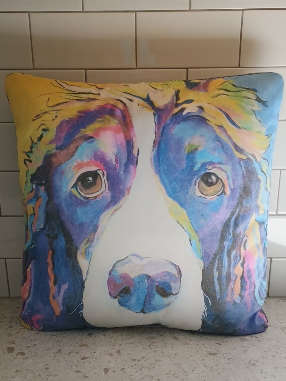 "SADIE" BY PAY SAUNDERS Colorful Dog Art Decorative Pillow - Multicolor